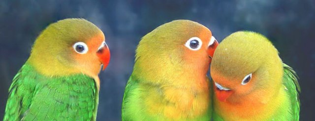 Как запустить в ход сарафанный маркетинг2