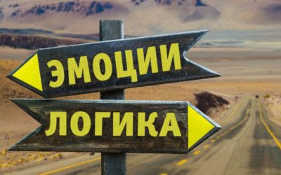 Эмоции или логика: что определяет покупку?