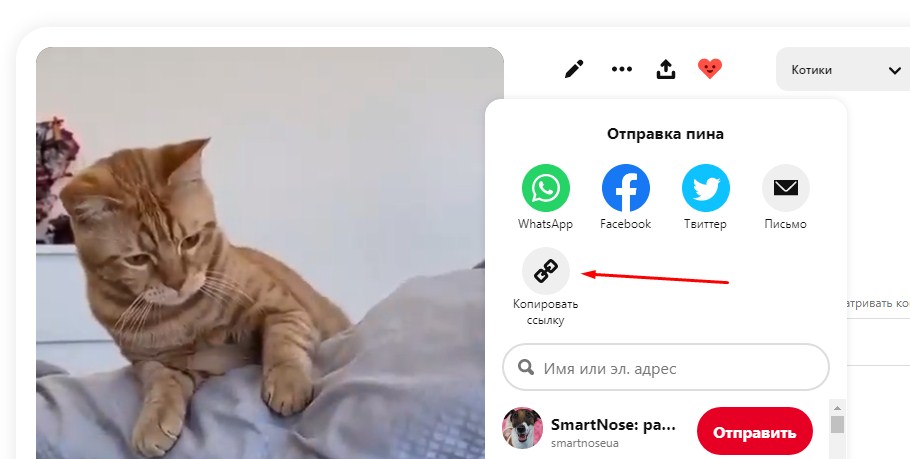 Как скачать видео с Пинтерест