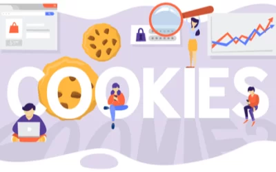 Cookies заблокированы. Вход в админку WordPress