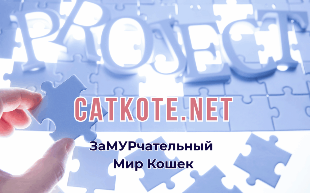 Котики — наше всё