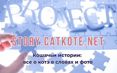 Кошачьи истории: сайт, который не переехал