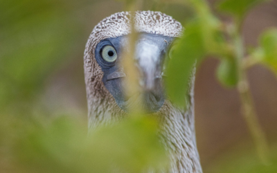 Социальный эксперимент: Кто тут на самом деле охуел?